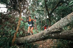 BIB: 
                            <button type="button" onclick="openModal(25547771)" class="btn btn-primary btn-sm float-right btn-popup" data-toggle="modal" data-target=".modal-high-quality">
                        <i class="fas fa-shopping-cart"></i> Add to Cart
                    </button>
                                            <button type="button" onclick="isThisMe(25547771, true)" class="btn btn-success btn-sm float-right btn-popup btn-isme hidden" data-toggle="tooltip" data-placement="bottom" title="นี่คือรูปของคุณใช่ไหม คลิกที่นี่เพื่อเอาเข้าอัลบั้ม">
                        <i class="fas fa-plus"></i> Add to album
                    </button>
                    <button type="button" onclick="isThisMe(25547771, false)" class="btn btn-warning btn-sm float-right btn-popup btn-isnotme hidden">
                        <i class="fas fa-ban"></i> Remove from album
                    </button>