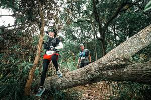 BIB: 
                            <button type="button" onclick="openModal(25552370)" class="btn btn-primary btn-sm float-right btn-popup" data-toggle="modal" data-target=".modal-high-quality">
                        <i class="fas fa-shopping-cart"></i> Add to Cart
                    </button>
                                            <button type="button" onclick="isThisMe(25552370, true)" class="btn btn-success btn-sm float-right btn-popup btn-isme hidden" data-toggle="tooltip" data-placement="bottom" title="นี่คือรูปของคุณใช่ไหม คลิกที่นี่เพื่อเอาเข้าอัลบั้ม">
                        <i class="fas fa-plus"></i> Add to album
                    </button>
                    <button type="button" onclick="isThisMe(25552370, false)" class="btn btn-warning btn-sm float-right btn-popup btn-isnotme hidden">
                        <i class="fas fa-ban"></i> Remove from album
                    </button>