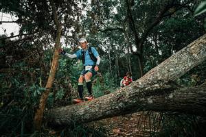 BIB: 
                            <button type="button" onclick="openModal(25550524)" class="btn btn-primary btn-sm float-right btn-popup" data-toggle="modal" data-target=".modal-high-quality">
                        <i class="fas fa-shopping-cart"></i> Add to Cart
                    </button>
                                            <button type="button" onclick="isThisMe(25550524, true)" class="btn btn-success btn-sm float-right btn-popup btn-isme hidden" data-toggle="tooltip" data-placement="bottom" title="นี่คือรูปของคุณใช่ไหม คลิกที่นี่เพื่อเอาเข้าอัลบั้ม">
                        <i class="fas fa-plus"></i> Add to album
                    </button>
                    <button type="button" onclick="isThisMe(25550524, false)" class="btn btn-warning btn-sm float-right btn-popup btn-isnotme hidden">
                        <i class="fas fa-ban"></i> Remove from album
                    </button>