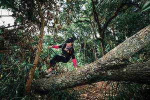 BIB: 
                            <button type="button" onclick="openModal(25548714)" class="btn btn-primary btn-sm float-right btn-popup" data-toggle="modal" data-target=".modal-high-quality">
                        <i class="fas fa-shopping-cart"></i> Add to Cart
                    </button>
                                            <button type="button" onclick="isThisMe(25548714, true)" class="btn btn-success btn-sm float-right btn-popup btn-isme hidden" data-toggle="tooltip" data-placement="bottom" title="นี่คือรูปของคุณใช่ไหม คลิกที่นี่เพื่อเอาเข้าอัลบั้ม">
                        <i class="fas fa-plus"></i> Add to album
                    </button>
                    <button type="button" onclick="isThisMe(25548714, false)" class="btn btn-warning btn-sm float-right btn-popup btn-isnotme hidden">
                        <i class="fas fa-ban"></i> Remove from album
                    </button>