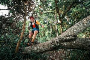 BIB: 
                            <button type="button" onclick="openModal(25527774)" class="btn btn-primary btn-sm float-right btn-popup" data-toggle="modal" data-target=".modal-high-quality">
                        <i class="fas fa-shopping-cart"></i> Add to Cart
                    </button>
                                            <button type="button" onclick="isThisMe(25527774, true)" class="btn btn-success btn-sm float-right btn-popup btn-isme hidden" data-toggle="tooltip" data-placement="bottom" title="นี่คือรูปของคุณใช่ไหม คลิกที่นี่เพื่อเอาเข้าอัลบั้ม">
                        <i class="fas fa-plus"></i> Add to album
                    </button>
                    <button type="button" onclick="isThisMe(25527774, false)" class="btn btn-warning btn-sm float-right btn-popup btn-isnotme hidden">
                        <i class="fas fa-ban"></i> Remove from album
                    </button>