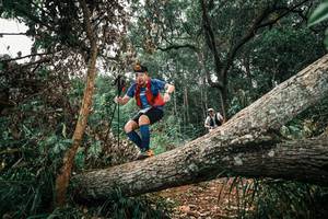 BIB: 
                            <button type="button" onclick="openModal(25546208)" class="btn btn-primary btn-sm float-right btn-popup" data-toggle="modal" data-target=".modal-high-quality">
                        <i class="fas fa-shopping-cart"></i> Add to Cart
                    </button>
                                            <button type="button" onclick="isThisMe(25546208, true)" class="btn btn-success btn-sm float-right btn-popup btn-isme hidden" data-toggle="tooltip" data-placement="bottom" title="นี่คือรูปของคุณใช่ไหม คลิกที่นี่เพื่อเอาเข้าอัลบั้ม">
                        <i class="fas fa-plus"></i> Add to album
                    </button>
                    <button type="button" onclick="isThisMe(25546208, false)" class="btn btn-warning btn-sm float-right btn-popup btn-isnotme hidden">
                        <i class="fas fa-ban"></i> Remove from album
                    </button>