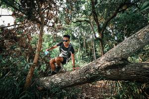 BIB: 
                            <button type="button" onclick="openModal(25535190)" class="btn btn-primary btn-sm float-right btn-popup" data-toggle="modal" data-target=".modal-high-quality">
                        <i class="fas fa-shopping-cart"></i> Add to Cart
                    </button>
                                            <button type="button" onclick="isThisMe(25535190, true)" class="btn btn-success btn-sm float-right btn-popup btn-isme hidden" data-toggle="tooltip" data-placement="bottom" title="นี่คือรูปของคุณใช่ไหม คลิกที่นี่เพื่อเอาเข้าอัลบั้ม">
                        <i class="fas fa-plus"></i> Add to album
                    </button>
                    <button type="button" onclick="isThisMe(25535190, false)" class="btn btn-warning btn-sm float-right btn-popup btn-isnotme hidden">
                        <i class="fas fa-ban"></i> Remove from album
                    </button>