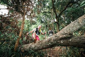 BIB: 
                            <button type="button" onclick="openModal(25537249)" class="btn btn-primary btn-sm float-right btn-popup" data-toggle="modal" data-target=".modal-high-quality">
                        <i class="fas fa-shopping-cart"></i> Add to Cart
                    </button>
                                            <button type="button" onclick="isThisMe(25537249, true)" class="btn btn-success btn-sm float-right btn-popup btn-isme hidden" data-toggle="tooltip" data-placement="bottom" title="นี่คือรูปของคุณใช่ไหม คลิกที่นี่เพื่อเอาเข้าอัลบั้ม">
                        <i class="fas fa-plus"></i> Add to album
                    </button>
                    <button type="button" onclick="isThisMe(25537249, false)" class="btn btn-warning btn-sm float-right btn-popup btn-isnotme hidden">
                        <i class="fas fa-ban"></i> Remove from album
                    </button>