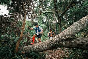 BIB: 
                            <button type="button" onclick="openModal(25530267)" class="btn btn-primary btn-sm float-right btn-popup" data-toggle="modal" data-target=".modal-high-quality">
                        <i class="fas fa-shopping-cart"></i> Add to Cart
                    </button>
                                            <button type="button" onclick="isThisMe(25530267, true)" class="btn btn-success btn-sm float-right btn-popup btn-isme hidden" data-toggle="tooltip" data-placement="bottom" title="นี่คือรูปของคุณใช่ไหม คลิกที่นี่เพื่อเอาเข้าอัลบั้ม">
                        <i class="fas fa-plus"></i> Add to album
                    </button>
                    <button type="button" onclick="isThisMe(25530267, false)" class="btn btn-warning btn-sm float-right btn-popup btn-isnotme hidden">
                        <i class="fas fa-ban"></i> Remove from album
                    </button>