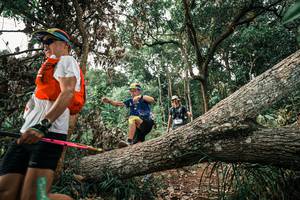 BIB: 
                            <button type="button" onclick="openModal(25531501)" class="btn btn-primary btn-sm float-right btn-popup" data-toggle="modal" data-target=".modal-high-quality">
                        <i class="fas fa-shopping-cart"></i> Add to Cart
                    </button>
                                            <button type="button" onclick="isThisMe(25531501, true)" class="btn btn-success btn-sm float-right btn-popup btn-isme hidden" data-toggle="tooltip" data-placement="bottom" title="นี่คือรูปของคุณใช่ไหม คลิกที่นี่เพื่อเอาเข้าอัลบั้ม">
                        <i class="fas fa-plus"></i> Add to album
                    </button>
                    <button type="button" onclick="isThisMe(25531501, false)" class="btn btn-warning btn-sm float-right btn-popup btn-isnotme hidden">
                        <i class="fas fa-ban"></i> Remove from album
                    </button>