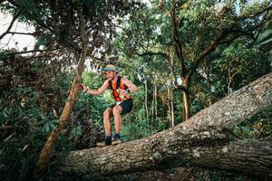 BIB: 
                            <button type="button" onclick="openModal(25525889)" class="btn btn-primary btn-sm float-right btn-popup" data-toggle="modal" data-target=".modal-high-quality">
                        <i class="fas fa-shopping-cart"></i> Add to Cart
                    </button>
                                            <button type="button" onclick="isThisMe(25525889, true)" class="btn btn-success btn-sm float-right btn-popup btn-isme hidden" data-toggle="tooltip" data-placement="bottom" title="นี่คือรูปของคุณใช่ไหม คลิกที่นี่เพื่อเอาเข้าอัลบั้ม">
                        <i class="fas fa-plus"></i> Add to album
                    </button>
                    <button type="button" onclick="isThisMe(25525889, false)" class="btn btn-warning btn-sm float-right btn-popup btn-isnotme hidden">
                        <i class="fas fa-ban"></i> Remove from album
                    </button>