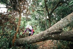 BIB: 
                            <button type="button" onclick="openModal(25545796)" class="btn btn-primary btn-sm float-right btn-popup" data-toggle="modal" data-target=".modal-high-quality">
                        <i class="fas fa-shopping-cart"></i> Add to Cart
                    </button>
                                            <button type="button" onclick="isThisMe(25545796, true)" class="btn btn-success btn-sm float-right btn-popup btn-isme hidden" data-toggle="tooltip" data-placement="bottom" title="นี่คือรูปของคุณใช่ไหม คลิกที่นี่เพื่อเอาเข้าอัลบั้ม">
                        <i class="fas fa-plus"></i> Add to album
                    </button>
                    <button type="button" onclick="isThisMe(25545796, false)" class="btn btn-warning btn-sm float-right btn-popup btn-isnotme hidden">
                        <i class="fas fa-ban"></i> Remove from album
                    </button>