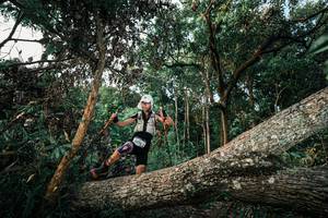 BIB: 
                            <button type="button" onclick="openModal(25525839)" class="btn btn-primary btn-sm float-right btn-popup" data-toggle="modal" data-target=".modal-high-quality">
                        <i class="fas fa-shopping-cart"></i> Add to Cart
                    </button>
                                            <button type="button" onclick="isThisMe(25525839, true)" class="btn btn-success btn-sm float-right btn-popup btn-isme hidden" data-toggle="tooltip" data-placement="bottom" title="นี่คือรูปของคุณใช่ไหม คลิกที่นี่เพื่อเอาเข้าอัลบั้ม">
                        <i class="fas fa-plus"></i> Add to album
                    </button>
                    <button type="button" onclick="isThisMe(25525839, false)" class="btn btn-warning btn-sm float-right btn-popup btn-isnotme hidden">
                        <i class="fas fa-ban"></i> Remove from album
                    </button>