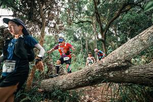 BIB: 
                            <button type="button" onclick="openModal(25529392)" class="btn btn-primary btn-sm float-right btn-popup" data-toggle="modal" data-target=".modal-high-quality">
                        <i class="fas fa-shopping-cart"></i> Add to Cart
                    </button>
                                            <button type="button" onclick="isThisMe(25529392, true)" class="btn btn-success btn-sm float-right btn-popup btn-isme hidden" data-toggle="tooltip" data-placement="bottom" title="นี่คือรูปของคุณใช่ไหม คลิกที่นี่เพื่อเอาเข้าอัลบั้ม">
                        <i class="fas fa-plus"></i> Add to album
                    </button>
                    <button type="button" onclick="isThisMe(25529392, false)" class="btn btn-warning btn-sm float-right btn-popup btn-isnotme hidden">
                        <i class="fas fa-ban"></i> Remove from album
                    </button>