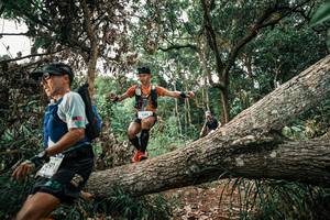 BIB: 
                            <button type="button" onclick="openModal(25530276)" class="btn btn-primary btn-sm float-right btn-popup" data-toggle="modal" data-target=".modal-high-quality">
                        <i class="fas fa-shopping-cart"></i> Add to Cart
                    </button>
                                            <button type="button" onclick="isThisMe(25530276, true)" class="btn btn-success btn-sm float-right btn-popup btn-isme hidden" data-toggle="tooltip" data-placement="bottom" title="นี่คือรูปของคุณใช่ไหม คลิกที่นี่เพื่อเอาเข้าอัลบั้ม">
                        <i class="fas fa-plus"></i> Add to album
                    </button>
                    <button type="button" onclick="isThisMe(25530276, false)" class="btn btn-warning btn-sm float-right btn-popup btn-isnotme hidden">
                        <i class="fas fa-ban"></i> Remove from album
                    </button>