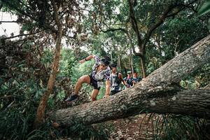 BIB: 
                            <button type="button" onclick="openModal(25532850)" class="btn btn-primary btn-sm float-right btn-popup" data-toggle="modal" data-target=".modal-high-quality">
                        <i class="fas fa-shopping-cart"></i> Add to Cart
                    </button>
                                            <button type="button" onclick="isThisMe(25532850, true)" class="btn btn-success btn-sm float-right btn-popup btn-isme hidden" data-toggle="tooltip" data-placement="bottom" title="นี่คือรูปของคุณใช่ไหม คลิกที่นี่เพื่อเอาเข้าอัลบั้ม">
                        <i class="fas fa-plus"></i> Add to album
                    </button>
                    <button type="button" onclick="isThisMe(25532850, false)" class="btn btn-warning btn-sm float-right btn-popup btn-isnotme hidden">
                        <i class="fas fa-ban"></i> Remove from album
                    </button>