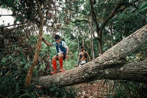 BIB: 
                            <button type="button" onclick="openModal(25530273)" class="btn btn-primary btn-sm float-right btn-popup" data-toggle="modal" data-target=".modal-high-quality">
                        <i class="fas fa-shopping-cart"></i> Add to Cart
                    </button>
                                            <button type="button" onclick="isThisMe(25530273, true)" class="btn btn-success btn-sm float-right btn-popup btn-isme hidden" data-toggle="tooltip" data-placement="bottom" title="นี่คือรูปของคุณใช่ไหม คลิกที่นี่เพื่อเอาเข้าอัลบั้ม">
                        <i class="fas fa-plus"></i> Add to album
                    </button>
                    <button type="button" onclick="isThisMe(25530273, false)" class="btn btn-warning btn-sm float-right btn-popup btn-isnotme hidden">
                        <i class="fas fa-ban"></i> Remove from album
                    </button>