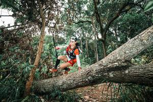 BIB: 
                            <button type="button" onclick="openModal(25542843)" class="btn btn-primary btn-sm float-right btn-popup" data-toggle="modal" data-target=".modal-high-quality">
                        <i class="fas fa-shopping-cart"></i> Add to Cart
                    </button>
                                            <button type="button" onclick="isThisMe(25542843, true)" class="btn btn-success btn-sm float-right btn-popup btn-isme hidden" data-toggle="tooltip" data-placement="bottom" title="นี่คือรูปของคุณใช่ไหม คลิกที่นี่เพื่อเอาเข้าอัลบั้ม">
                        <i class="fas fa-plus"></i> Add to album
                    </button>
                    <button type="button" onclick="isThisMe(25542843, false)" class="btn btn-warning btn-sm float-right btn-popup btn-isnotme hidden">
                        <i class="fas fa-ban"></i> Remove from album
                    </button>