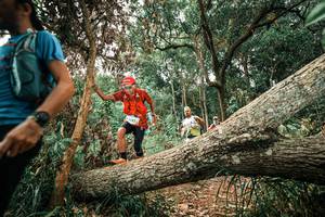 BIB: 
                            <button type="button" onclick="openModal(25544720)" class="btn btn-primary btn-sm float-right btn-popup" data-toggle="modal" data-target=".modal-high-quality">
                        <i class="fas fa-shopping-cart"></i> Add to Cart
                    </button>
                                            <button type="button" onclick="isThisMe(25544720, true)" class="btn btn-success btn-sm float-right btn-popup btn-isme hidden" data-toggle="tooltip" data-placement="bottom" title="นี่คือรูปของคุณใช่ไหม คลิกที่นี่เพื่อเอาเข้าอัลบั้ม">
                        <i class="fas fa-plus"></i> Add to album
                    </button>
                    <button type="button" onclick="isThisMe(25544720, false)" class="btn btn-warning btn-sm float-right btn-popup btn-isnotme hidden">
                        <i class="fas fa-ban"></i> Remove from album
                    </button>