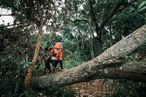 BIB: 
                            <button type="button" onclick="openModal(25539483)" class="btn btn-primary btn-sm float-right btn-popup" data-toggle="modal" data-target=".modal-high-quality">
                        <i class="fas fa-shopping-cart"></i> Add to Cart
                    </button>
                                            <button type="button" onclick="isThisMe(25539483, true)" class="btn btn-success btn-sm float-right btn-popup btn-isme hidden" data-toggle="tooltip" data-placement="bottom" title="นี่คือรูปของคุณใช่ไหม คลิกที่นี่เพื่อเอาเข้าอัลบั้ม">
                        <i class="fas fa-plus"></i> Add to album
                    </button>
                    <button type="button" onclick="isThisMe(25539483, false)" class="btn btn-warning btn-sm float-right btn-popup btn-isnotme hidden">
                        <i class="fas fa-ban"></i> Remove from album
                    </button>