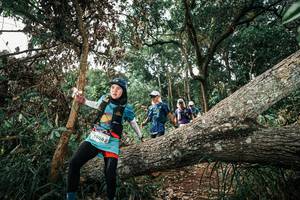 BIB: 
                            <button type="button" onclick="openModal(25536904)" class="btn btn-primary btn-sm float-right btn-popup" data-toggle="modal" data-target=".modal-high-quality">
                        <i class="fas fa-shopping-cart"></i> Add to Cart
                    </button>
                                            <button type="button" onclick="isThisMe(25536904, true)" class="btn btn-success btn-sm float-right btn-popup btn-isme hidden" data-toggle="tooltip" data-placement="bottom" title="นี่คือรูปของคุณใช่ไหม คลิกที่นี่เพื่อเอาเข้าอัลบั้ม">
                        <i class="fas fa-plus"></i> Add to album
                    </button>
                    <button type="button" onclick="isThisMe(25536904, false)" class="btn btn-warning btn-sm float-right btn-popup btn-isnotme hidden">
                        <i class="fas fa-ban"></i> Remove from album
                    </button>