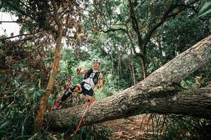 BIB: 
                            <button type="button" onclick="openModal(25548340)" class="btn btn-primary btn-sm float-right btn-popup" data-toggle="modal" data-target=".modal-high-quality">
                        <i class="fas fa-shopping-cart"></i> Add to Cart
                    </button>
                                            <button type="button" onclick="isThisMe(25548340, true)" class="btn btn-success btn-sm float-right btn-popup btn-isme hidden" data-toggle="tooltip" data-placement="bottom" title="นี่คือรูปของคุณใช่ไหม คลิกที่นี่เพื่อเอาเข้าอัลบั้ม">
                        <i class="fas fa-plus"></i> Add to album
                    </button>
                    <button type="button" onclick="isThisMe(25548340, false)" class="btn btn-warning btn-sm float-right btn-popup btn-isnotme hidden">
                        <i class="fas fa-ban"></i> Remove from album
                    </button>