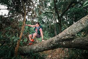 BIB: 
                            <button type="button" onclick="openModal(25546692)" class="btn btn-primary btn-sm float-right btn-popup" data-toggle="modal" data-target=".modal-high-quality">
                        <i class="fas fa-shopping-cart"></i> Add to Cart
                    </button>
                                            <button type="button" onclick="isThisMe(25546692, true)" class="btn btn-success btn-sm float-right btn-popup btn-isme hidden" data-toggle="tooltip" data-placement="bottom" title="นี่คือรูปของคุณใช่ไหม คลิกที่นี่เพื่อเอาเข้าอัลบั้ม">
                        <i class="fas fa-plus"></i> Add to album
                    </button>
                    <button type="button" onclick="isThisMe(25546692, false)" class="btn btn-warning btn-sm float-right btn-popup btn-isnotme hidden">
                        <i class="fas fa-ban"></i> Remove from album
                    </button>