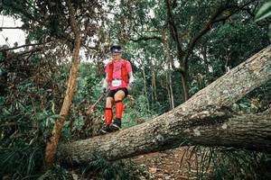 BIB: 
                            <button type="button" onclick="openModal(25541861)" class="btn btn-primary btn-sm float-right btn-popup" data-toggle="modal" data-target=".modal-high-quality">
                        <i class="fas fa-shopping-cart"></i> Add to Cart
                    </button>
                                            <button type="button" onclick="isThisMe(25541861, true)" class="btn btn-success btn-sm float-right btn-popup btn-isme hidden" data-toggle="tooltip" data-placement="bottom" title="นี่คือรูปของคุณใช่ไหม คลิกที่นี่เพื่อเอาเข้าอัลบั้ม">
                        <i class="fas fa-plus"></i> Add to album
                    </button>
                    <button type="button" onclick="isThisMe(25541861, false)" class="btn btn-warning btn-sm float-right btn-popup btn-isnotme hidden">
                        <i class="fas fa-ban"></i> Remove from album
                    </button>