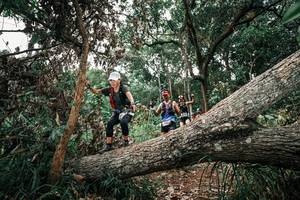 BIB: 
                            <button type="button" onclick="openModal(25530760)" class="btn btn-primary btn-sm float-right btn-popup" data-toggle="modal" data-target=".modal-high-quality">
                        <i class="fas fa-shopping-cart"></i> Add to Cart
                    </button>
                                            <button type="button" onclick="isThisMe(25530760, true)" class="btn btn-success btn-sm float-right btn-popup btn-isme hidden" data-toggle="tooltip" data-placement="bottom" title="นี่คือรูปของคุณใช่ไหม คลิกที่นี่เพื่อเอาเข้าอัลบั้ม">
                        <i class="fas fa-plus"></i> Add to album
                    </button>
                    <button type="button" onclick="isThisMe(25530760, false)" class="btn btn-warning btn-sm float-right btn-popup btn-isnotme hidden">
                        <i class="fas fa-ban"></i> Remove from album
                    </button>