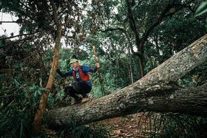 BIB: 
                            <button type="button" onclick="openModal(25551447)" class="btn btn-primary btn-sm float-right btn-popup" data-toggle="modal" data-target=".modal-high-quality">
                        <i class="fas fa-shopping-cart"></i> Add to Cart
                    </button>
                                            <button type="button" onclick="isThisMe(25551447, true)" class="btn btn-success btn-sm float-right btn-popup btn-isme hidden" data-toggle="tooltip" data-placement="bottom" title="นี่คือรูปของคุณใช่ไหม คลิกที่นี่เพื่อเอาเข้าอัลบั้ม">
                        <i class="fas fa-plus"></i> Add to album
                    </button>
                    <button type="button" onclick="isThisMe(25551447, false)" class="btn btn-warning btn-sm float-right btn-popup btn-isnotme hidden">
                        <i class="fas fa-ban"></i> Remove from album
                    </button>