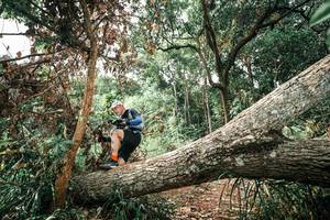 BIB: 
                            <button type="button" onclick="openModal(25545830)" class="btn btn-primary btn-sm float-right btn-popup" data-toggle="modal" data-target=".modal-high-quality">
                        <i class="fas fa-shopping-cart"></i> Add to Cart
                    </button>
                                            <button type="button" onclick="isThisMe(25545830, true)" class="btn btn-success btn-sm float-right btn-popup btn-isme hidden" data-toggle="tooltip" data-placement="bottom" title="นี่คือรูปของคุณใช่ไหม คลิกที่นี่เพื่อเอาเข้าอัลบั้ม">
                        <i class="fas fa-plus"></i> Add to album
                    </button>
                    <button type="button" onclick="isThisMe(25545830, false)" class="btn btn-warning btn-sm float-right btn-popup btn-isnotme hidden">
                        <i class="fas fa-ban"></i> Remove from album
                    </button>