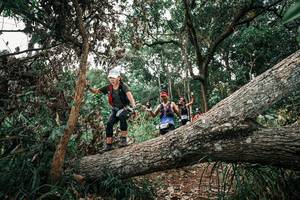 BIB: 
                            <button type="button" onclick="openModal(25530769)" class="btn btn-primary btn-sm float-right btn-popup" data-toggle="modal" data-target=".modal-high-quality">
                        <i class="fas fa-shopping-cart"></i> Add to Cart
                    </button>
                                            <button type="button" onclick="isThisMe(25530769, true)" class="btn btn-success btn-sm float-right btn-popup btn-isme hidden" data-toggle="tooltip" data-placement="bottom" title="นี่คือรูปของคุณใช่ไหม คลิกที่นี่เพื่อเอาเข้าอัลบั้ม">
                        <i class="fas fa-plus"></i> Add to album
                    </button>
                    <button type="button" onclick="isThisMe(25530769, false)" class="btn btn-warning btn-sm float-right btn-popup btn-isnotme hidden">
                        <i class="fas fa-ban"></i> Remove from album
                    </button>