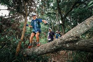 BIB: 
                            <button type="button" onclick="openModal(25536908)" class="btn btn-primary btn-sm float-right btn-popup" data-toggle="modal" data-target=".modal-high-quality">
                        <i class="fas fa-shopping-cart"></i> Add to Cart
                    </button>
                                            <button type="button" onclick="isThisMe(25536908, true)" class="btn btn-success btn-sm float-right btn-popup btn-isme hidden" data-toggle="tooltip" data-placement="bottom" title="นี่คือรูปของคุณใช่ไหม คลิกที่นี่เพื่อเอาเข้าอัลบั้ม">
                        <i class="fas fa-plus"></i> Add to album
                    </button>
                    <button type="button" onclick="isThisMe(25536908, false)" class="btn btn-warning btn-sm float-right btn-popup btn-isnotme hidden">
                        <i class="fas fa-ban"></i> Remove from album
                    </button>