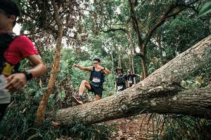 BIB: 
                            <button type="button" onclick="openModal(25529487)" class="btn btn-primary btn-sm float-right btn-popup" data-toggle="modal" data-target=".modal-high-quality">
                        <i class="fas fa-shopping-cart"></i> Add to Cart
                    </button>
                                            <button type="button" onclick="isThisMe(25529487, true)" class="btn btn-success btn-sm float-right btn-popup btn-isme hidden" data-toggle="tooltip" data-placement="bottom" title="นี่คือรูปของคุณใช่ไหม คลิกที่นี่เพื่อเอาเข้าอัลบั้ม">
                        <i class="fas fa-plus"></i> Add to album
                    </button>
                    <button type="button" onclick="isThisMe(25529487, false)" class="btn btn-warning btn-sm float-right btn-popup btn-isnotme hidden">
                        <i class="fas fa-ban"></i> Remove from album
                    </button>