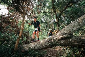 BIB: 
                            <button type="button" onclick="openModal(25535071)" class="btn btn-primary btn-sm float-right btn-popup" data-toggle="modal" data-target=".modal-high-quality">
                        <i class="fas fa-shopping-cart"></i> Add to Cart
                    </button>
                                            <button type="button" onclick="isThisMe(25535071, true)" class="btn btn-success btn-sm float-right btn-popup btn-isme hidden" data-toggle="tooltip" data-placement="bottom" title="นี่คือรูปของคุณใช่ไหม คลิกที่นี่เพื่อเอาเข้าอัลบั้ม">
                        <i class="fas fa-plus"></i> Add to album
                    </button>
                    <button type="button" onclick="isThisMe(25535071, false)" class="btn btn-warning btn-sm float-right btn-popup btn-isnotme hidden">
                        <i class="fas fa-ban"></i> Remove from album
                    </button>