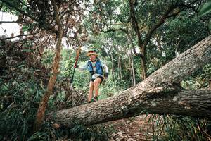 BIB: 
                            <button type="button" onclick="openModal(25533779)" class="btn btn-primary btn-sm float-right btn-popup" data-toggle="modal" data-target=".modal-high-quality">
                        <i class="fas fa-shopping-cart"></i> Add to Cart
                    </button>
                                            <button type="button" onclick="isThisMe(25533779, true)" class="btn btn-success btn-sm float-right btn-popup btn-isme hidden" data-toggle="tooltip" data-placement="bottom" title="นี่คือรูปของคุณใช่ไหม คลิกที่นี่เพื่อเอาเข้าอัลบั้ม">
                        <i class="fas fa-plus"></i> Add to album
                    </button>
                    <button type="button" onclick="isThisMe(25533779, false)" class="btn btn-warning btn-sm float-right btn-popup btn-isnotme hidden">
                        <i class="fas fa-ban"></i> Remove from album
                    </button>