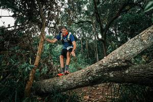 BIB: 
                            <button type="button" onclick="openModal(25551213)" class="btn btn-primary btn-sm float-right btn-popup" data-toggle="modal" data-target=".modal-high-quality">
                        <i class="fas fa-shopping-cart"></i> Add to Cart
                    </button>
                                            <button type="button" onclick="isThisMe(25551213, true)" class="btn btn-success btn-sm float-right btn-popup btn-isme hidden" data-toggle="tooltip" data-placement="bottom" title="นี่คือรูปของคุณใช่ไหม คลิกที่นี่เพื่อเอาเข้าอัลบั้ม">
                        <i class="fas fa-plus"></i> Add to album
                    </button>
                    <button type="button" onclick="isThisMe(25551213, false)" class="btn btn-warning btn-sm float-right btn-popup btn-isnotme hidden">
                        <i class="fas fa-ban"></i> Remove from album
                    </button>