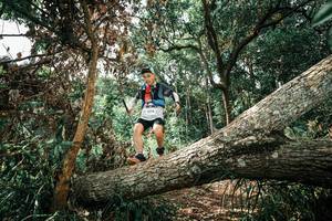 BIB: 
                            <button type="button" onclick="openModal(25548565)" class="btn btn-primary btn-sm float-right btn-popup" data-toggle="modal" data-target=".modal-high-quality">
                        <i class="fas fa-shopping-cart"></i> Add to Cart
                    </button>
                                            <button type="button" onclick="isThisMe(25548565, true)" class="btn btn-success btn-sm float-right btn-popup btn-isme hidden" data-toggle="tooltip" data-placement="bottom" title="นี่คือรูปของคุณใช่ไหม คลิกที่นี่เพื่อเอาเข้าอัลบั้ม">
                        <i class="fas fa-plus"></i> Add to album
                    </button>
                    <button type="button" onclick="isThisMe(25548565, false)" class="btn btn-warning btn-sm float-right btn-popup btn-isnotme hidden">
                        <i class="fas fa-ban"></i> Remove from album
                    </button>