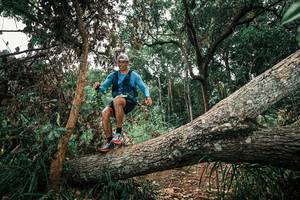 BIB: 
                            <button type="button" onclick="openModal(25546343)" class="btn btn-primary btn-sm float-right btn-popup" data-toggle="modal" data-target=".modal-high-quality">
                        <i class="fas fa-shopping-cart"></i> Add to Cart
                    </button>
                                            <button type="button" onclick="isThisMe(25546343, true)" class="btn btn-success btn-sm float-right btn-popup btn-isme hidden" data-toggle="tooltip" data-placement="bottom" title="นี่คือรูปของคุณใช่ไหม คลิกที่นี่เพื่อเอาเข้าอัลบั้ม">
                        <i class="fas fa-plus"></i> Add to album
                    </button>
                    <button type="button" onclick="isThisMe(25546343, false)" class="btn btn-warning btn-sm float-right btn-popup btn-isnotme hidden">
                        <i class="fas fa-ban"></i> Remove from album
                    </button>