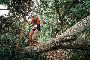 BIB: 
                            <button type="button" onclick="openModal(25527454)" class="btn btn-primary btn-sm float-right btn-popup" data-toggle="modal" data-target=".modal-high-quality">
                        <i class="fas fa-shopping-cart"></i> Add to Cart
                    </button>
                                            <button type="button" onclick="isThisMe(25527454, true)" class="btn btn-success btn-sm float-right btn-popup btn-isme hidden" data-toggle="tooltip" data-placement="bottom" title="นี่คือรูปของคุณใช่ไหม คลิกที่นี่เพื่อเอาเข้าอัลบั้ม">
                        <i class="fas fa-plus"></i> Add to album
                    </button>
                    <button type="button" onclick="isThisMe(25527454, false)" class="btn btn-warning btn-sm float-right btn-popup btn-isnotme hidden">
                        <i class="fas fa-ban"></i> Remove from album
                    </button>