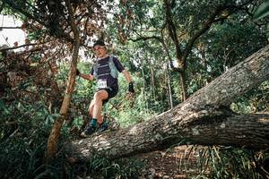 BIB: 
                            <button type="button" onclick="openModal(25535324)" class="btn btn-primary btn-sm float-right btn-popup" data-toggle="modal" data-target=".modal-high-quality">
                        <i class="fas fa-shopping-cart"></i> Add to Cart
                    </button>
                                            <button type="button" onclick="isThisMe(25535324, true)" class="btn btn-success btn-sm float-right btn-popup btn-isme hidden" data-toggle="tooltip" data-placement="bottom" title="นี่คือรูปของคุณใช่ไหม คลิกที่นี่เพื่อเอาเข้าอัลบั้ม">
                        <i class="fas fa-plus"></i> Add to album
                    </button>
                    <button type="button" onclick="isThisMe(25535324, false)" class="btn btn-warning btn-sm float-right btn-popup btn-isnotme hidden">
                        <i class="fas fa-ban"></i> Remove from album
                    </button>