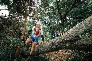 BIB: 
                            <button type="button" onclick="openModal(25549345)" class="btn btn-primary btn-sm float-right btn-popup" data-toggle="modal" data-target=".modal-high-quality">
                        <i class="fas fa-shopping-cart"></i> Add to Cart
                    </button>
                                            <button type="button" onclick="isThisMe(25549345, true)" class="btn btn-success btn-sm float-right btn-popup btn-isme hidden" data-toggle="tooltip" data-placement="bottom" title="นี่คือรูปของคุณใช่ไหม คลิกที่นี่เพื่อเอาเข้าอัลบั้ม">
                        <i class="fas fa-plus"></i> Add to album
                    </button>
                    <button type="button" onclick="isThisMe(25549345, false)" class="btn btn-warning btn-sm float-right btn-popup btn-isnotme hidden">
                        <i class="fas fa-ban"></i> Remove from album
                    </button>