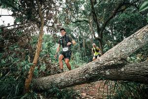 BIB: 
                            <button type="button" onclick="openModal(25542484)" class="btn btn-primary btn-sm float-right btn-popup" data-toggle="modal" data-target=".modal-high-quality">
                        <i class="fas fa-shopping-cart"></i> Add to Cart
                    </button>
                                            <button type="button" onclick="isThisMe(25542484, true)" class="btn btn-success btn-sm float-right btn-popup btn-isme hidden" data-toggle="tooltip" data-placement="bottom" title="นี่คือรูปของคุณใช่ไหม คลิกที่นี่เพื่อเอาเข้าอัลบั้ม">
                        <i class="fas fa-plus"></i> Add to album
                    </button>
                    <button type="button" onclick="isThisMe(25542484, false)" class="btn btn-warning btn-sm float-right btn-popup btn-isnotme hidden">
                        <i class="fas fa-ban"></i> Remove from album
                    </button>