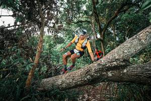 BIB: 
                            <button type="button" onclick="openModal(25526639)" class="btn btn-primary btn-sm float-right btn-popup" data-toggle="modal" data-target=".modal-high-quality">
                        <i class="fas fa-shopping-cart"></i> Add to Cart
                    </button>
                                            <button type="button" onclick="isThisMe(25526639, true)" class="btn btn-success btn-sm float-right btn-popup btn-isme hidden" data-toggle="tooltip" data-placement="bottom" title="นี่คือรูปของคุณใช่ไหม คลิกที่นี่เพื่อเอาเข้าอัลบั้ม">
                        <i class="fas fa-plus"></i> Add to album
                    </button>
                    <button type="button" onclick="isThisMe(25526639, false)" class="btn btn-warning btn-sm float-right btn-popup btn-isnotme hidden">
                        <i class="fas fa-ban"></i> Remove from album
                    </button>