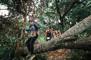 BIB: 
                            <button type="button" onclick="openModal(25548183)" class="btn btn-primary btn-sm float-right btn-popup" data-toggle="modal" data-target=".modal-high-quality">
                        <i class="fas fa-shopping-cart"></i> Add to Cart
                    </button>
                                            <button type="button" onclick="isThisMe(25548183, true)" class="btn btn-success btn-sm float-right btn-popup btn-isme hidden" data-toggle="tooltip" data-placement="bottom" title="นี่คือรูปของคุณใช่ไหม คลิกที่นี่เพื่อเอาเข้าอัลบั้ม">
                        <i class="fas fa-plus"></i> Add to album
                    </button>
                    <button type="button" onclick="isThisMe(25548183, false)" class="btn btn-warning btn-sm float-right btn-popup btn-isnotme hidden">
                        <i class="fas fa-ban"></i> Remove from album
                    </button>