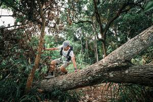 BIB: 
                            <button type="button" onclick="openModal(25532256)" class="btn btn-primary btn-sm float-right btn-popup" data-toggle="modal" data-target=".modal-high-quality">
                        <i class="fas fa-shopping-cart"></i> Add to Cart
                    </button>
                                            <button type="button" onclick="isThisMe(25532256, true)" class="btn btn-success btn-sm float-right btn-popup btn-isme hidden" data-toggle="tooltip" data-placement="bottom" title="นี่คือรูปของคุณใช่ไหม คลิกที่นี่เพื่อเอาเข้าอัลบั้ม">
                        <i class="fas fa-plus"></i> Add to album
                    </button>
                    <button type="button" onclick="isThisMe(25532256, false)" class="btn btn-warning btn-sm float-right btn-popup btn-isnotme hidden">
                        <i class="fas fa-ban"></i> Remove from album
                    </button>