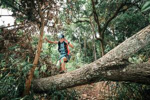 BIB: 
                            <button type="button" onclick="openModal(25545256)" class="btn btn-primary btn-sm float-right btn-popup" data-toggle="modal" data-target=".modal-high-quality">
                        <i class="fas fa-shopping-cart"></i> Add to Cart
                    </button>
                                            <button type="button" onclick="isThisMe(25545256, true)" class="btn btn-success btn-sm float-right btn-popup btn-isme hidden" data-toggle="tooltip" data-placement="bottom" title="นี่คือรูปของคุณใช่ไหม คลิกที่นี่เพื่อเอาเข้าอัลบั้ม">
                        <i class="fas fa-plus"></i> Add to album
                    </button>
                    <button type="button" onclick="isThisMe(25545256, false)" class="btn btn-warning btn-sm float-right btn-popup btn-isnotme hidden">
                        <i class="fas fa-ban"></i> Remove from album
                    </button>