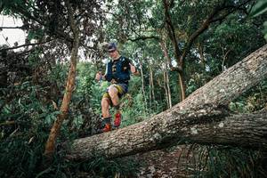 BIB: 
                            <button type="button" onclick="openModal(25526697)" class="btn btn-primary btn-sm float-right btn-popup" data-toggle="modal" data-target=".modal-high-quality">
                        <i class="fas fa-shopping-cart"></i> Add to Cart
                    </button>
                                            <button type="button" onclick="isThisMe(25526697, true)" class="btn btn-success btn-sm float-right btn-popup btn-isme hidden" data-toggle="tooltip" data-placement="bottom" title="นี่คือรูปของคุณใช่ไหม คลิกที่นี่เพื่อเอาเข้าอัลบั้ม">
                        <i class="fas fa-plus"></i> Add to album
                    </button>
                    <button type="button" onclick="isThisMe(25526697, false)" class="btn btn-warning btn-sm float-right btn-popup btn-isnotme hidden">
                        <i class="fas fa-ban"></i> Remove from album
                    </button>