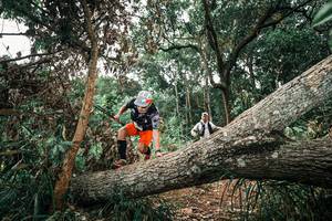 BIB: 
                            <button type="button" onclick="openModal(25547828)" class="btn btn-primary btn-sm float-right btn-popup" data-toggle="modal" data-target=".modal-high-quality">
                        <i class="fas fa-shopping-cart"></i> Add to Cart
                    </button>
                                            <button type="button" onclick="isThisMe(25547828, true)" class="btn btn-success btn-sm float-right btn-popup btn-isme hidden" data-toggle="tooltip" data-placement="bottom" title="นี่คือรูปของคุณใช่ไหม คลิกที่นี่เพื่อเอาเข้าอัลบั้ม">
                        <i class="fas fa-plus"></i> Add to album
                    </button>
                    <button type="button" onclick="isThisMe(25547828, false)" class="btn btn-warning btn-sm float-right btn-popup btn-isnotme hidden">
                        <i class="fas fa-ban"></i> Remove from album
                    </button>