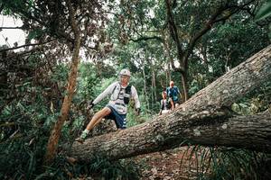 BIB: 
                            <button type="button" onclick="openModal(25531251)" class="btn btn-primary btn-sm float-right btn-popup" data-toggle="modal" data-target=".modal-high-quality">
                        <i class="fas fa-shopping-cart"></i> Add to Cart
                    </button>
                                            <button type="button" onclick="isThisMe(25531251, true)" class="btn btn-success btn-sm float-right btn-popup btn-isme hidden" data-toggle="tooltip" data-placement="bottom" title="นี่คือรูปของคุณใช่ไหม คลิกที่นี่เพื่อเอาเข้าอัลบั้ม">
                        <i class="fas fa-plus"></i> Add to album
                    </button>
                    <button type="button" onclick="isThisMe(25531251, false)" class="btn btn-warning btn-sm float-right btn-popup btn-isnotme hidden">
                        <i class="fas fa-ban"></i> Remove from album
                    </button>