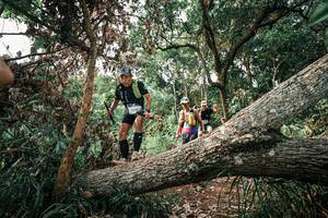 BIB: 
                            <button type="button" onclick="openModal(25533475)" class="btn btn-primary btn-sm float-right btn-popup" data-toggle="modal" data-target=".modal-high-quality">
                        <i class="fas fa-shopping-cart"></i> Add to Cart
                    </button>
                                            <button type="button" onclick="isThisMe(25533475, true)" class="btn btn-success btn-sm float-right btn-popup btn-isme hidden" data-toggle="tooltip" data-placement="bottom" title="นี่คือรูปของคุณใช่ไหม คลิกที่นี่เพื่อเอาเข้าอัลบั้ม">
                        <i class="fas fa-plus"></i> Add to album
                    </button>
                    <button type="button" onclick="isThisMe(25533475, false)" class="btn btn-warning btn-sm float-right btn-popup btn-isnotme hidden">
                        <i class="fas fa-ban"></i> Remove from album
                    </button>