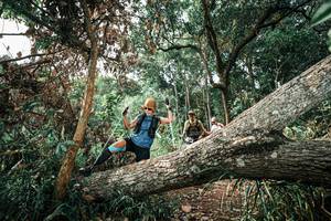 BIB: 
                            <button type="button" onclick="openModal(25537754)" class="btn btn-primary btn-sm float-right btn-popup" data-toggle="modal" data-target=".modal-high-quality">
                        <i class="fas fa-shopping-cart"></i> Add to Cart
                    </button>
                                            <button type="button" onclick="isThisMe(25537754, true)" class="btn btn-success btn-sm float-right btn-popup btn-isme hidden" data-toggle="tooltip" data-placement="bottom" title="นี่คือรูปของคุณใช่ไหม คลิกที่นี่เพื่อเอาเข้าอัลบั้ม">
                        <i class="fas fa-plus"></i> Add to album
                    </button>
                    <button type="button" onclick="isThisMe(25537754, false)" class="btn btn-warning btn-sm float-right btn-popup btn-isnotme hidden">
                        <i class="fas fa-ban"></i> Remove from album
                    </button>