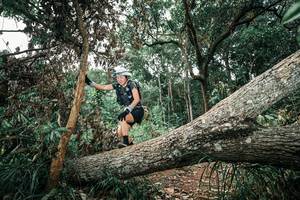 BIB: 
                            <button type="button" onclick="openModal(25542389)" class="btn btn-primary btn-sm float-right btn-popup" data-toggle="modal" data-target=".modal-high-quality">
                        <i class="fas fa-shopping-cart"></i> Add to Cart
                    </button>
                                            <button type="button" onclick="isThisMe(25542389, true)" class="btn btn-success btn-sm float-right btn-popup btn-isme hidden" data-toggle="tooltip" data-placement="bottom" title="นี่คือรูปของคุณใช่ไหม คลิกที่นี่เพื่อเอาเข้าอัลบั้ม">
                        <i class="fas fa-plus"></i> Add to album
                    </button>
                    <button type="button" onclick="isThisMe(25542389, false)" class="btn btn-warning btn-sm float-right btn-popup btn-isnotme hidden">
                        <i class="fas fa-ban"></i> Remove from album
                    </button>