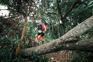 BIB: 
                            <button type="button" onclick="openModal(25538687)" class="btn btn-primary btn-sm float-right btn-popup" data-toggle="modal" data-target=".modal-high-quality">
                        <i class="fas fa-shopping-cart"></i> Add to Cart
                    </button>
                                            <button type="button" onclick="isThisMe(25538687, true)" class="btn btn-success btn-sm float-right btn-popup btn-isme hidden" data-toggle="tooltip" data-placement="bottom" title="นี่คือรูปของคุณใช่ไหม คลิกที่นี่เพื่อเอาเข้าอัลบั้ม">
                        <i class="fas fa-plus"></i> Add to album
                    </button>
                    <button type="button" onclick="isThisMe(25538687, false)" class="btn btn-warning btn-sm float-right btn-popup btn-isnotme hidden">
                        <i class="fas fa-ban"></i> Remove from album
                    </button>